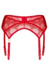 aliosa-garter-belt (3)